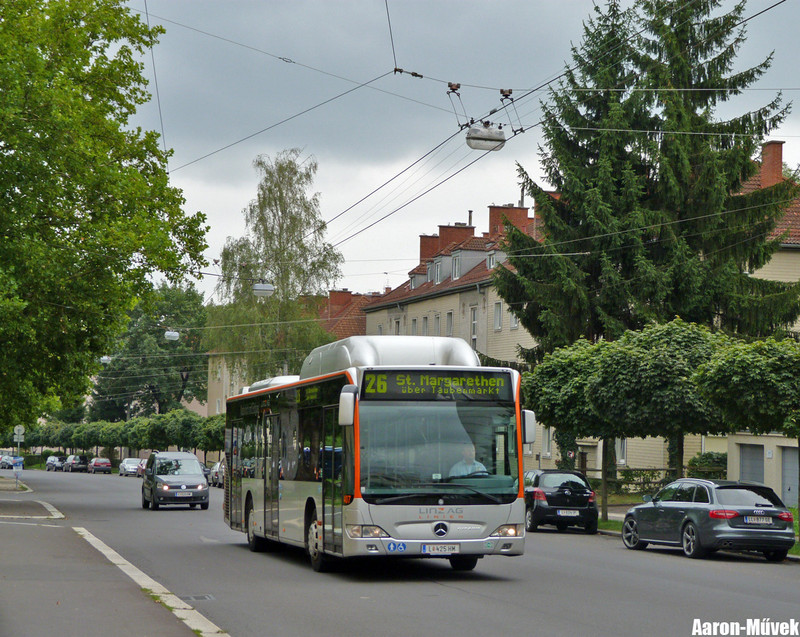 Linz 2013 (13)