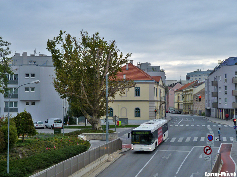Burgenland (34)