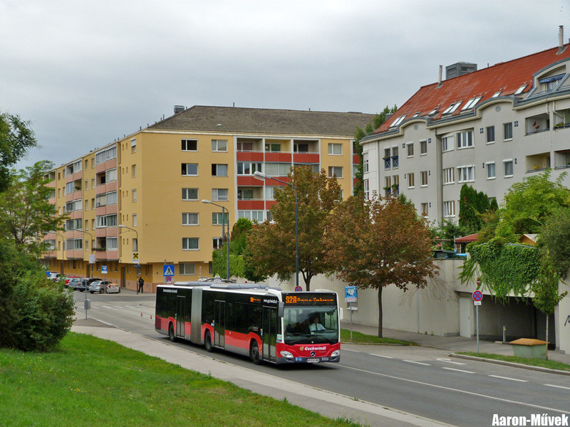 Bécs 2013 (10)