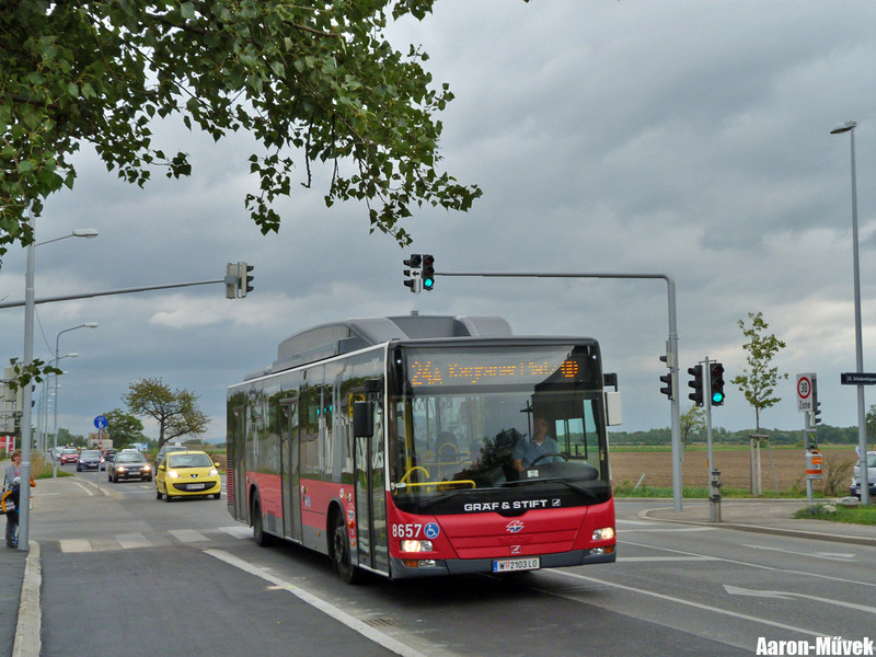 Bécs 2013 (34)