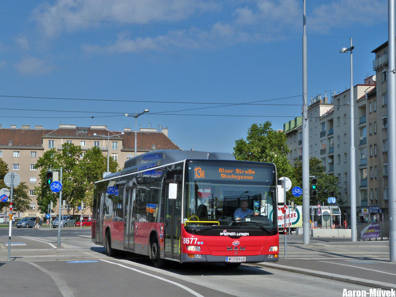 Bécs környéke III (10)