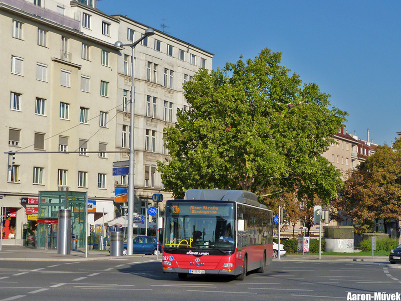 Tramwaytag 2013 (2)