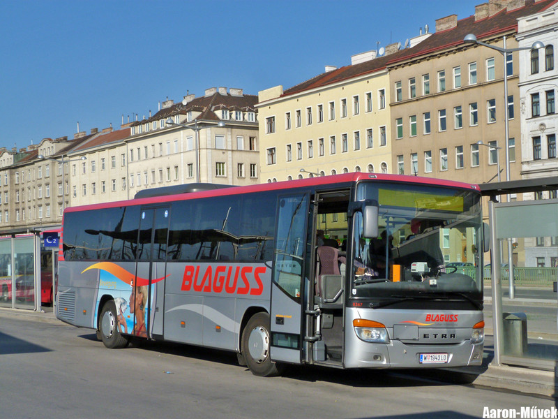 Tramwaytag 2013 (5)