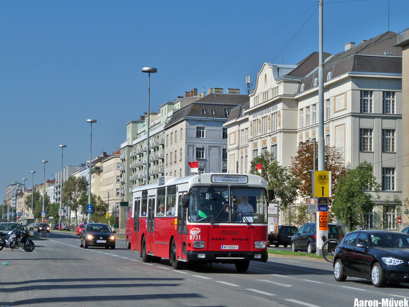 Tramwaytag 2013 (9)