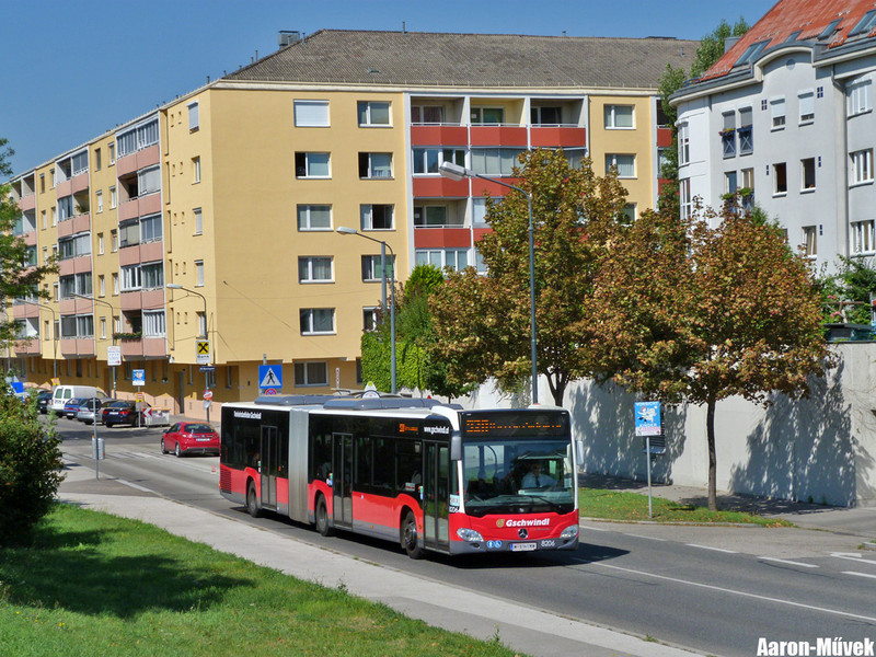 Tramwaytag 2013 (16)