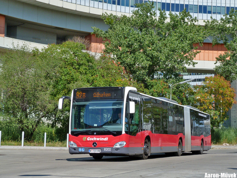 Tramwaytag 2013 (19)