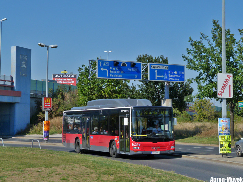 Tramwaytag 2013 (21)