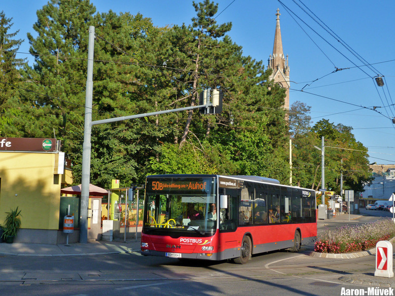 Tramwaytag 2013 (25)