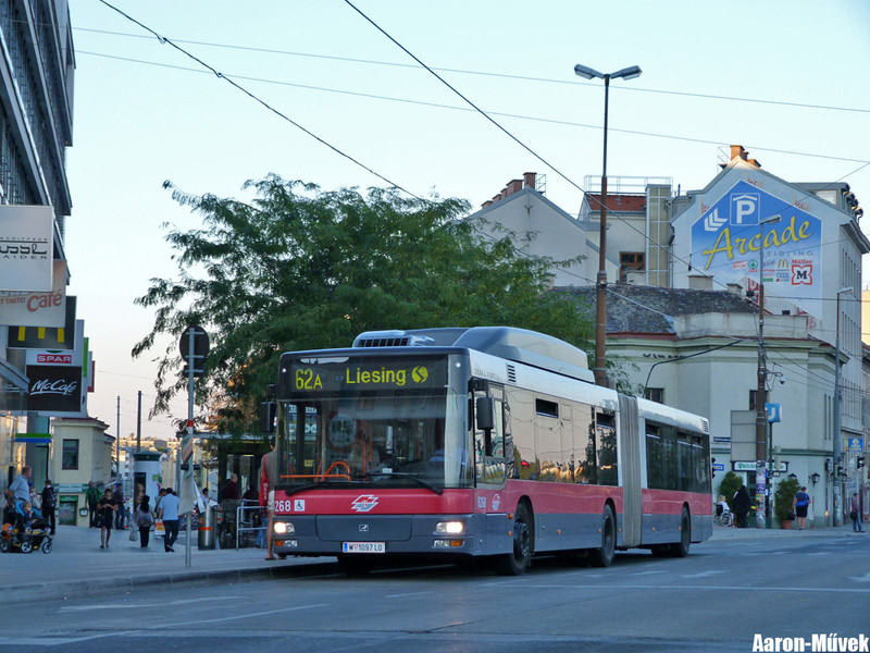 Tramwaytag 2013 (26)
