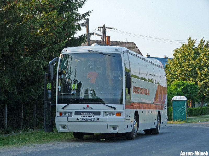 Évértékelő (12)