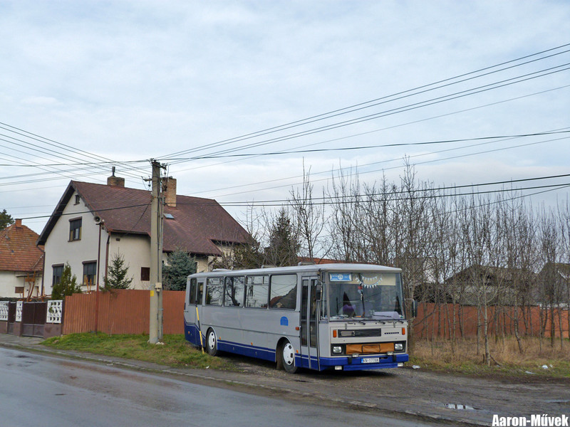 Csallóközi évkezdés (10)