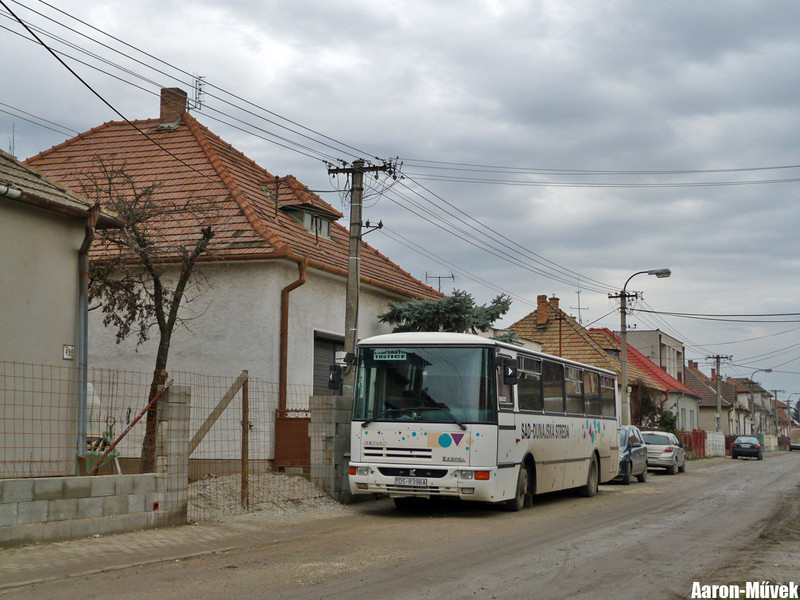 Csallóközi évkezdés (15)