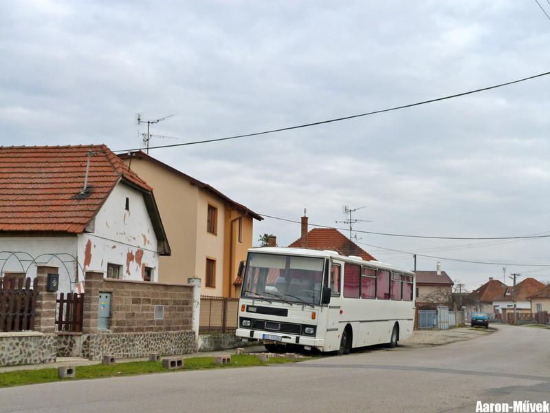 Csallóközi évkezdés (20)