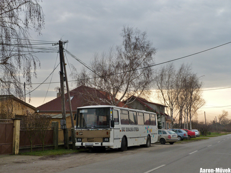 Csallóközi évkezdés (21)