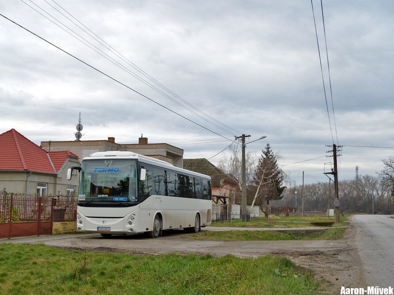 Csallóköz II (8)