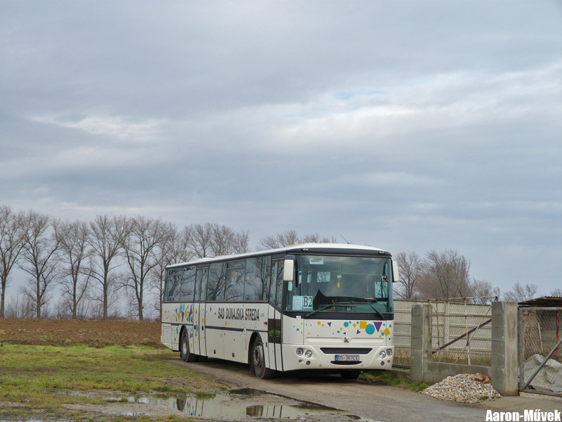 Csallóköz II (12)