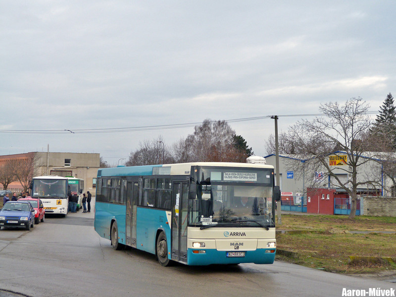 Csallóköz II (14)