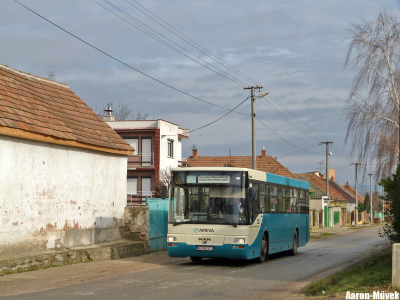 Csallóköz II (17)