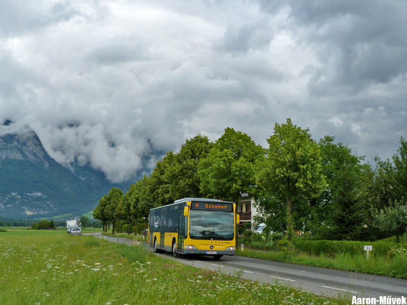 Zeawas Vorarlberg (8)