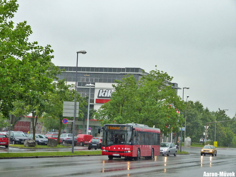 Zeawas Vorarlberg (20)