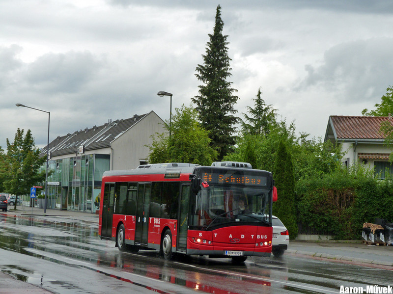 Zeawas Vorarlberg (21)