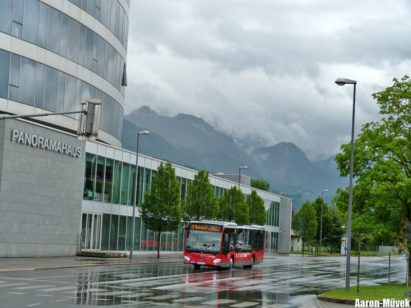 Zeawas Vorarlberg (23)