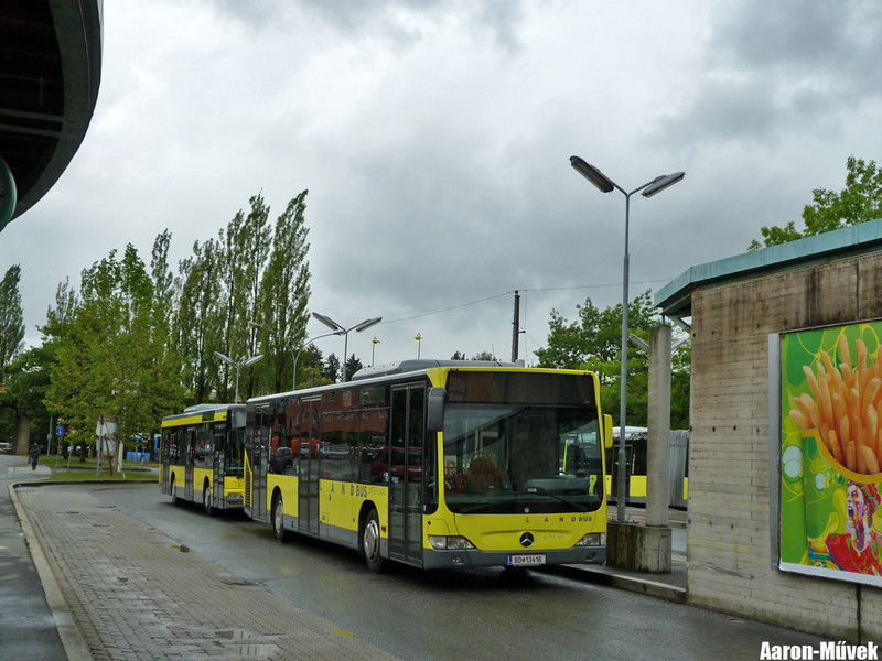 Zeawas Vorarlberg (28)