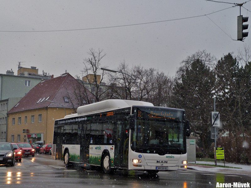 Puchberg (14)