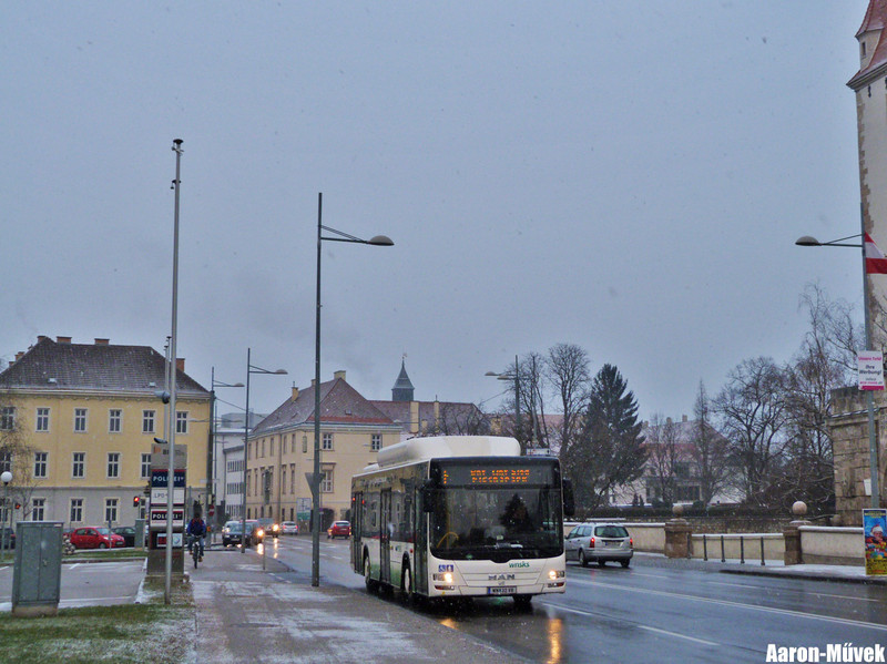 Puchberg (15)