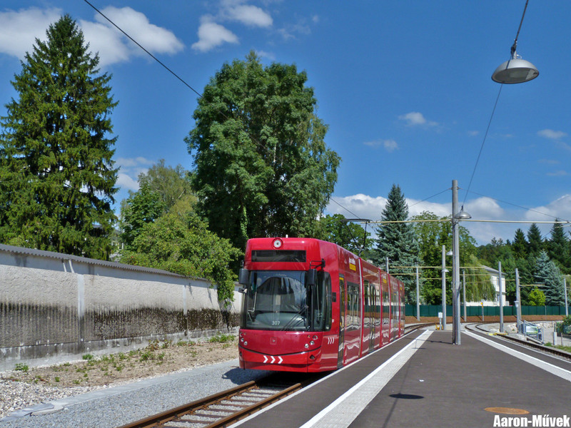 Gmunden 2014 (8)