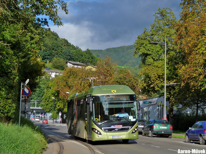 Leoben (20)