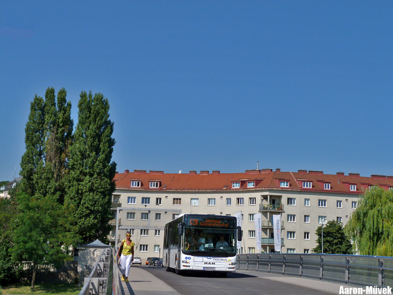 FJB SEV (1)