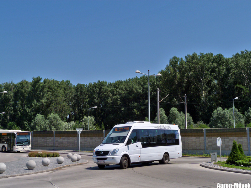 FJB SEV (4)