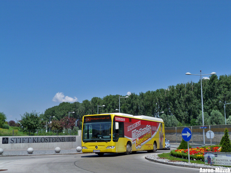 FJB SEV (6)