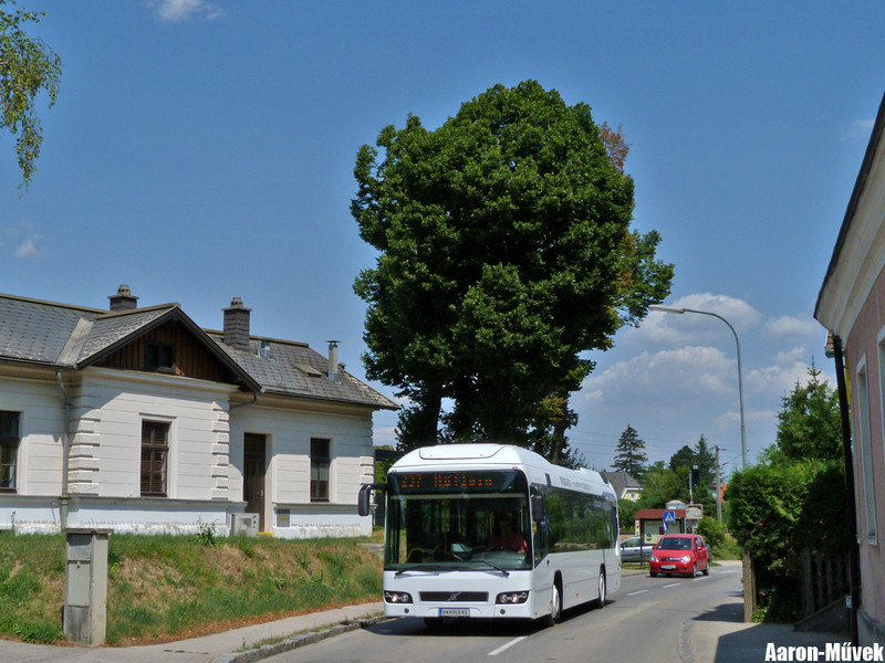FJB SEV (11)