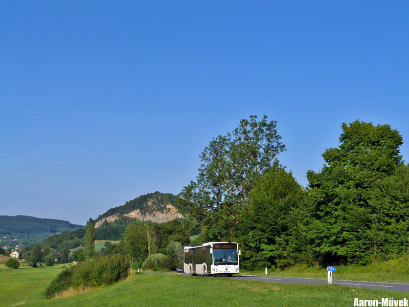 FJB SEV (20)