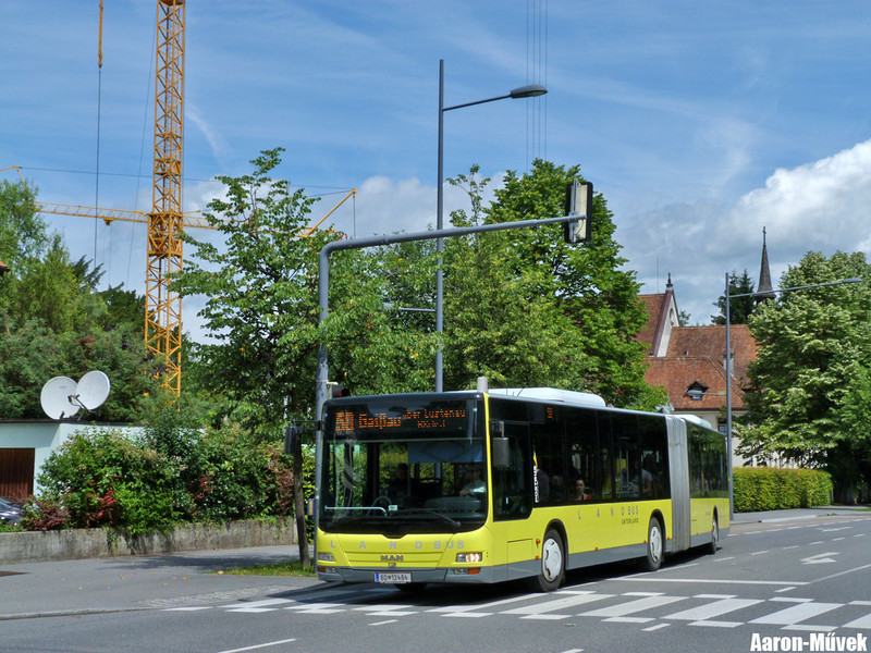 Vorarlberg II (12)