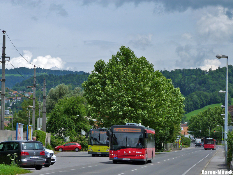 Vorarlberg II (16)
