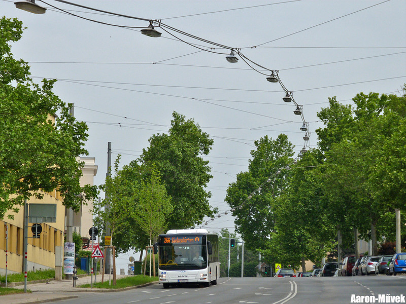 VC 2015 (8)