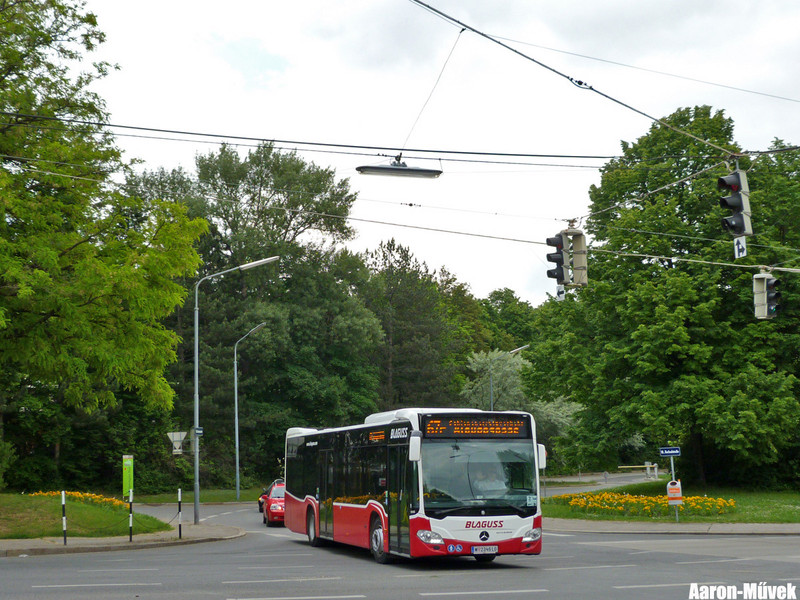 VC 2015 (9)