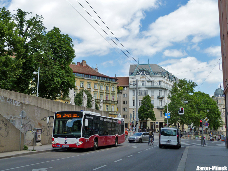 VC 2015 (17)