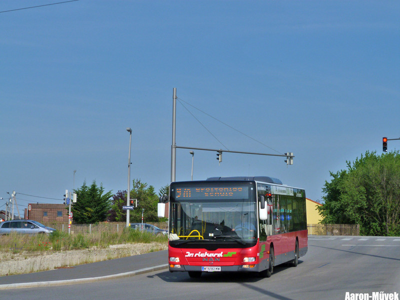 VC 2015 (24)