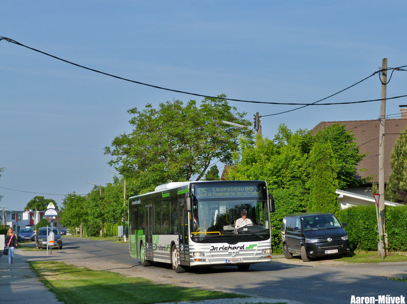 VC 2015 (27)