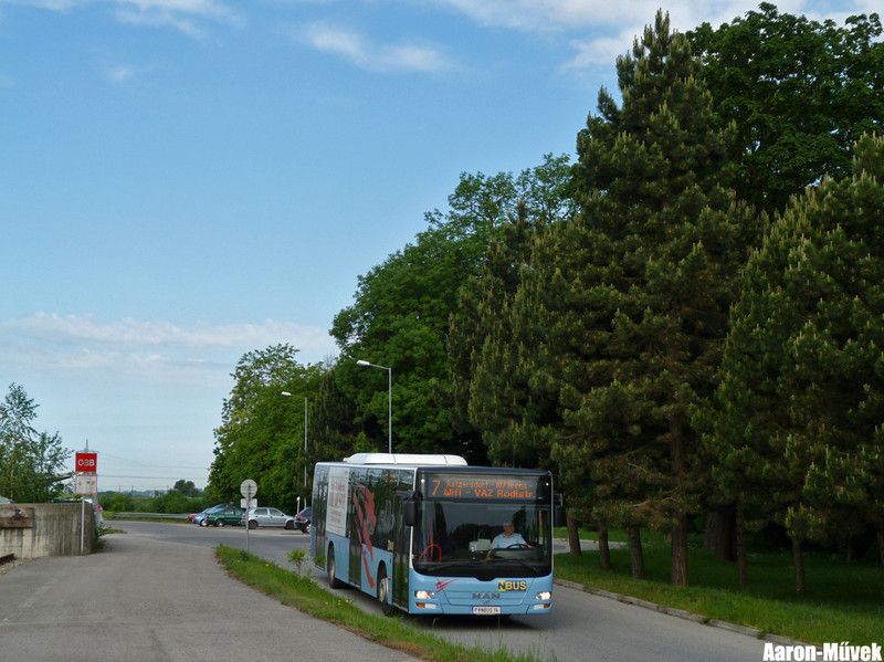 kép (2)