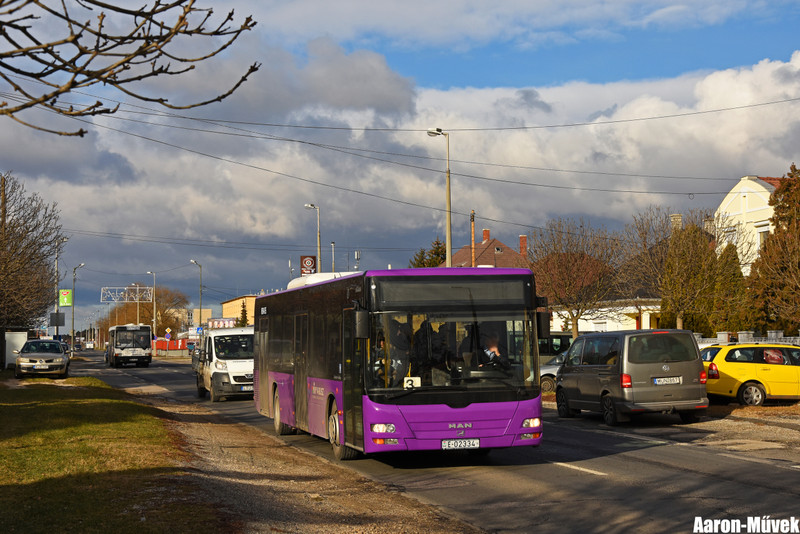 Vbusz (5)