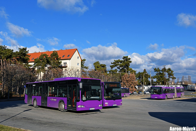 Vbusz (8)