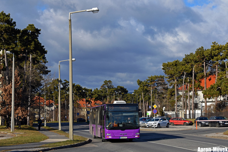 Vbusz (9)
