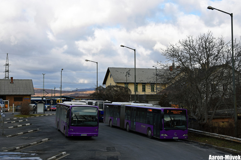 Vbusz (13)