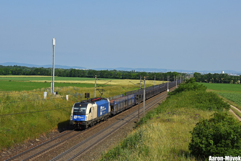 NR19 (1)