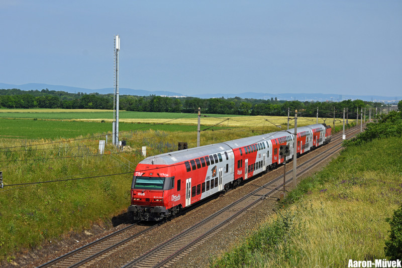 NR19 (3)